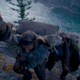 Image for article titled The Revenant reimagines the look of the Western by squeezing the wild frontier